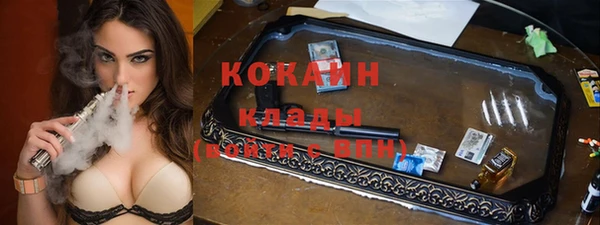 гашик Бородино