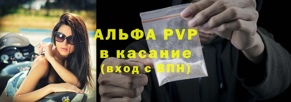 гашик Бородино