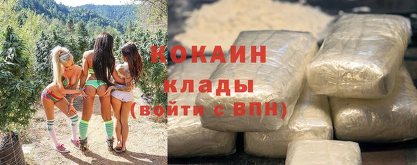 гашик Бородино