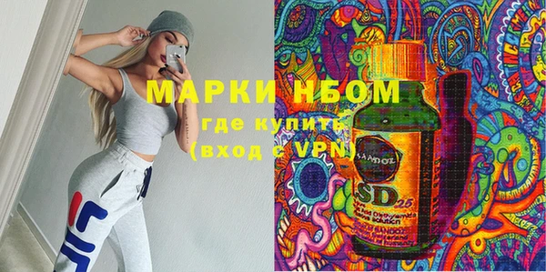 гашик Бородино
