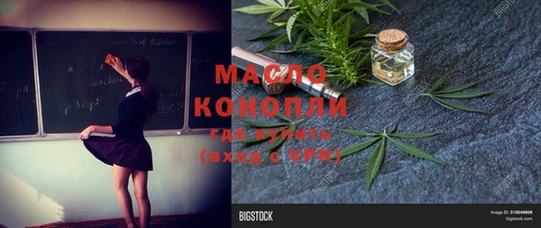 гашик Бородино