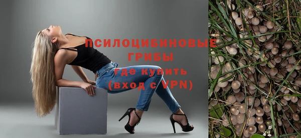 мяу мяу мука Беломорск