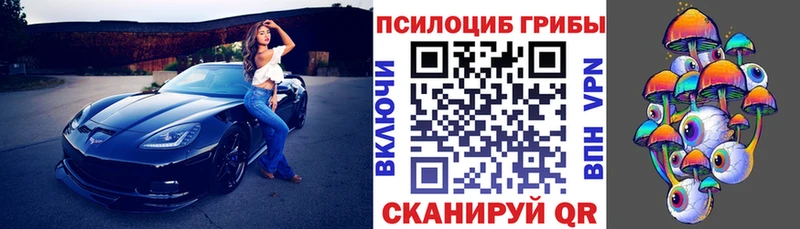ссылка на мегу сайт  Велиж  Галлюциногенные грибы Psilocybe 
